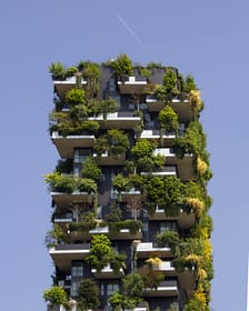 Sustainable Development