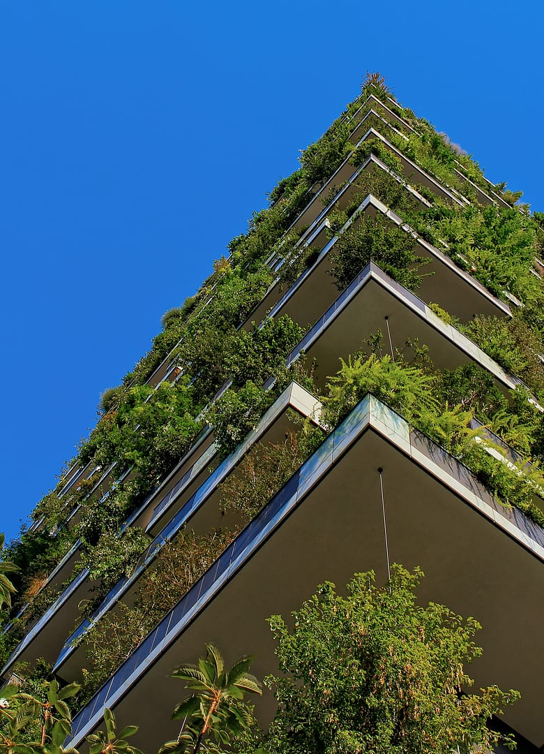Sustainable Development